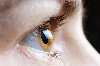Professional Optometry Vision Care | Orthokeratology  Ortho-K , Presbyopia and Neuro Lens