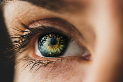 Professional Optometry Vision Care | Pediatric Eye Care, Macular Degeneration and Optomap Scan