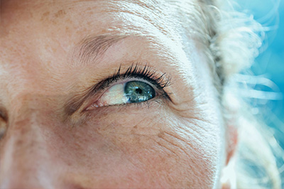 Professional Optometry Vision Care | Glaucoma Management, Diabetic Eye Exams and Electroretinography  ERG 